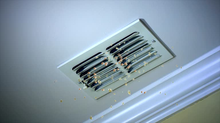 Best Local Air Duct Cleaning Services  in Dallas, TX
